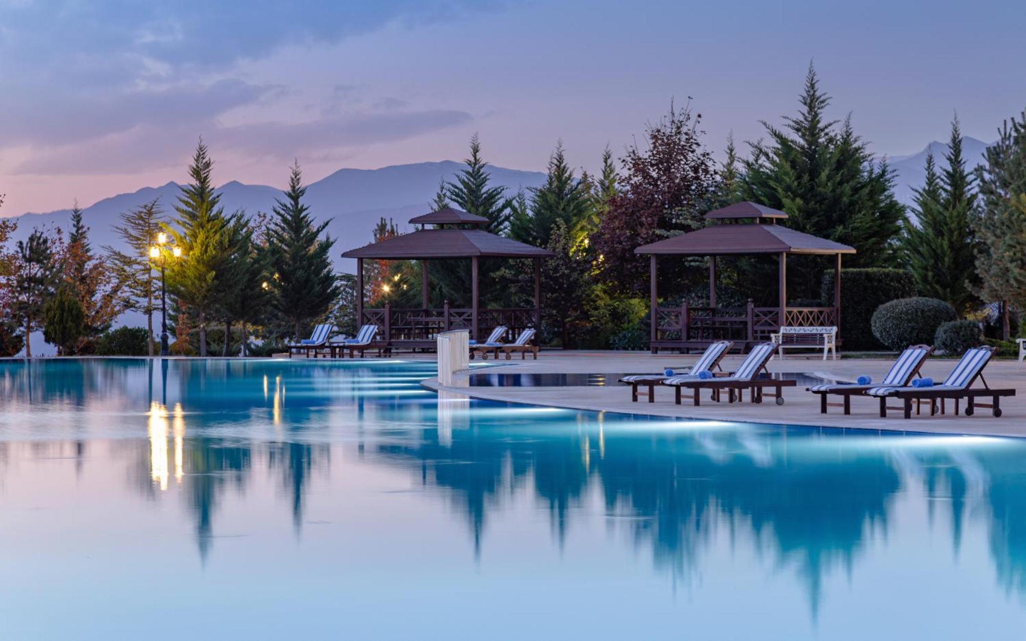 Shamakhi Palace Sharadil Seredil Buitenkant foto The swimming pool at the hotel