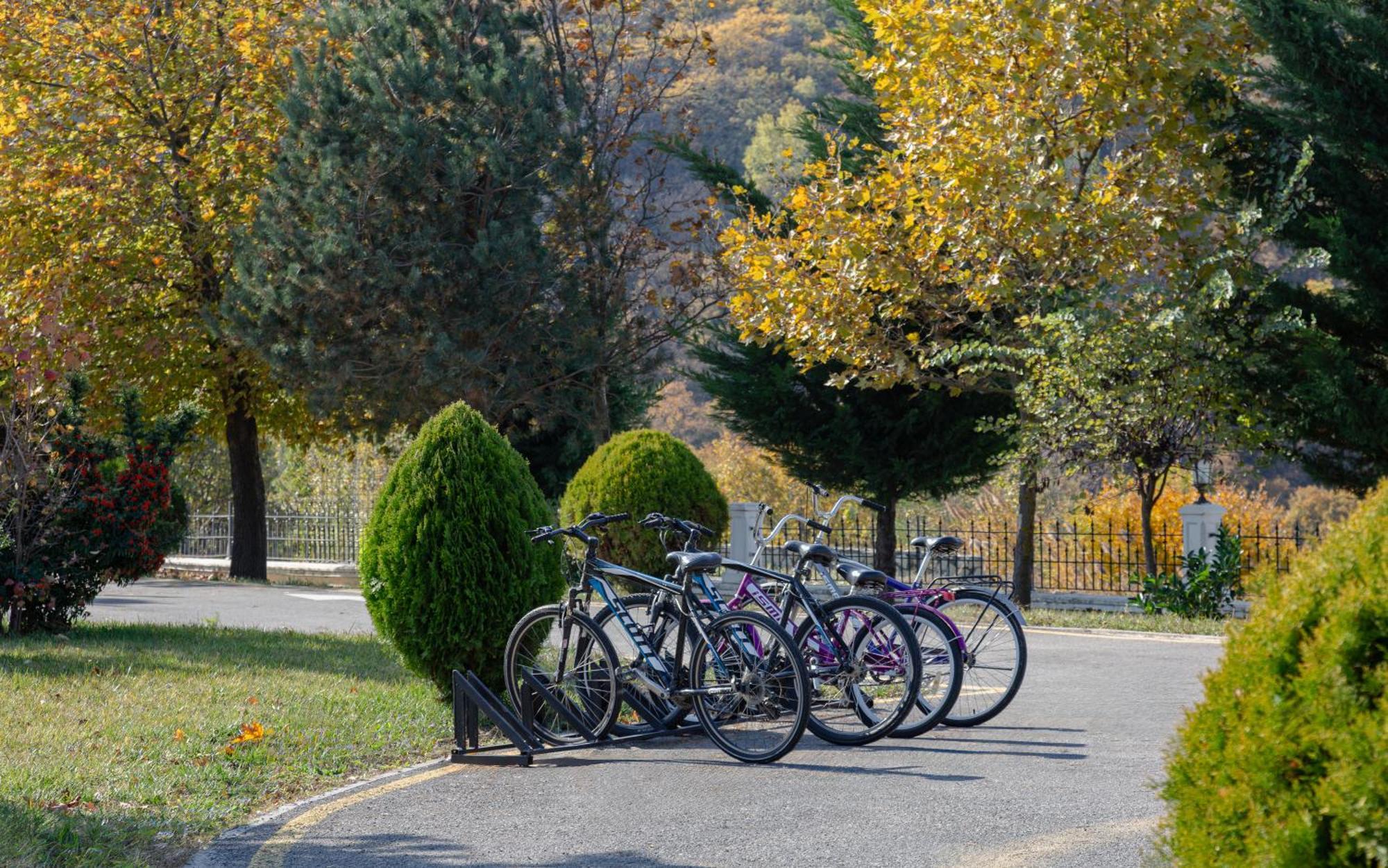 Shamakhi Palace Sharadil Seredil Buitenkant foto Bicycles parked at the entrance of the park