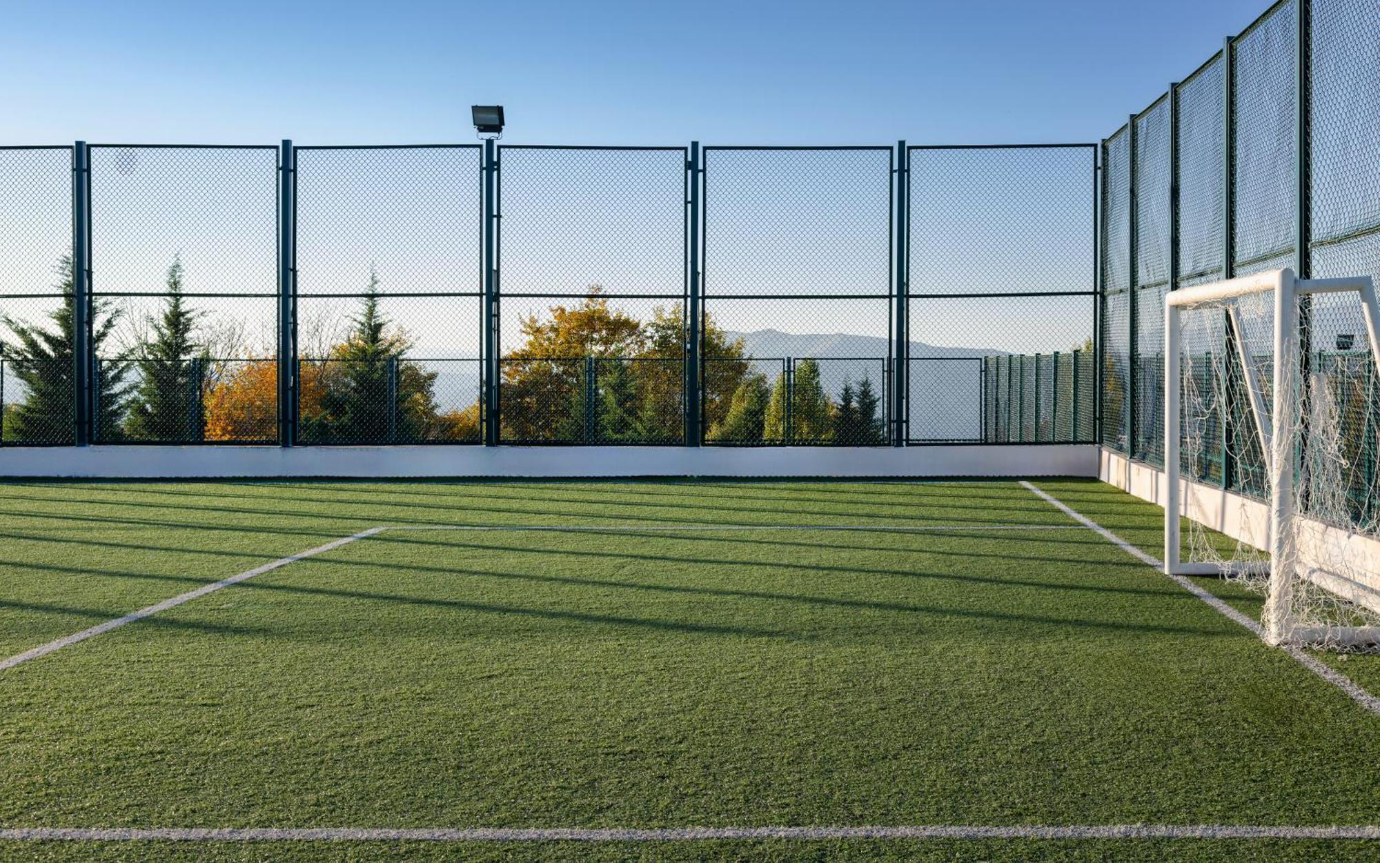 Shamakhi Palace Sharadil Seredil Buitenkant foto The artificial grass pitch at the University of Novi Sad